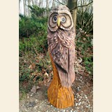 Owl